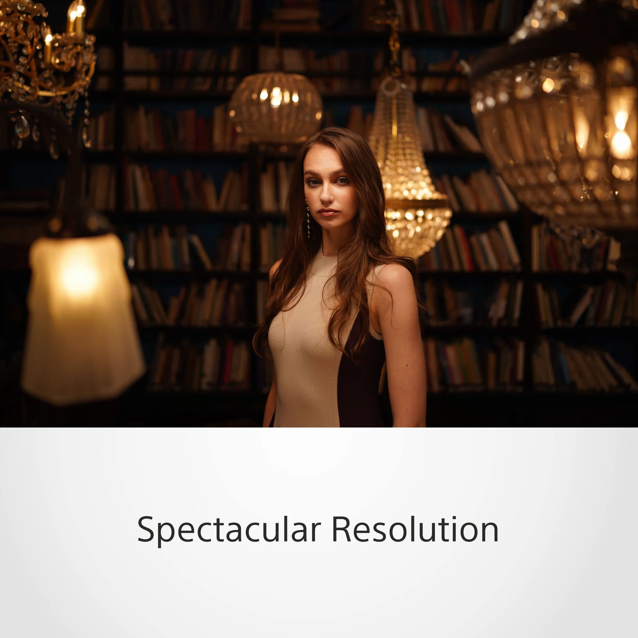 Sony SEL35F14GM Objectif 35 mm F1.4 G Master plein format monture E compact lumineux portrait basse lumière