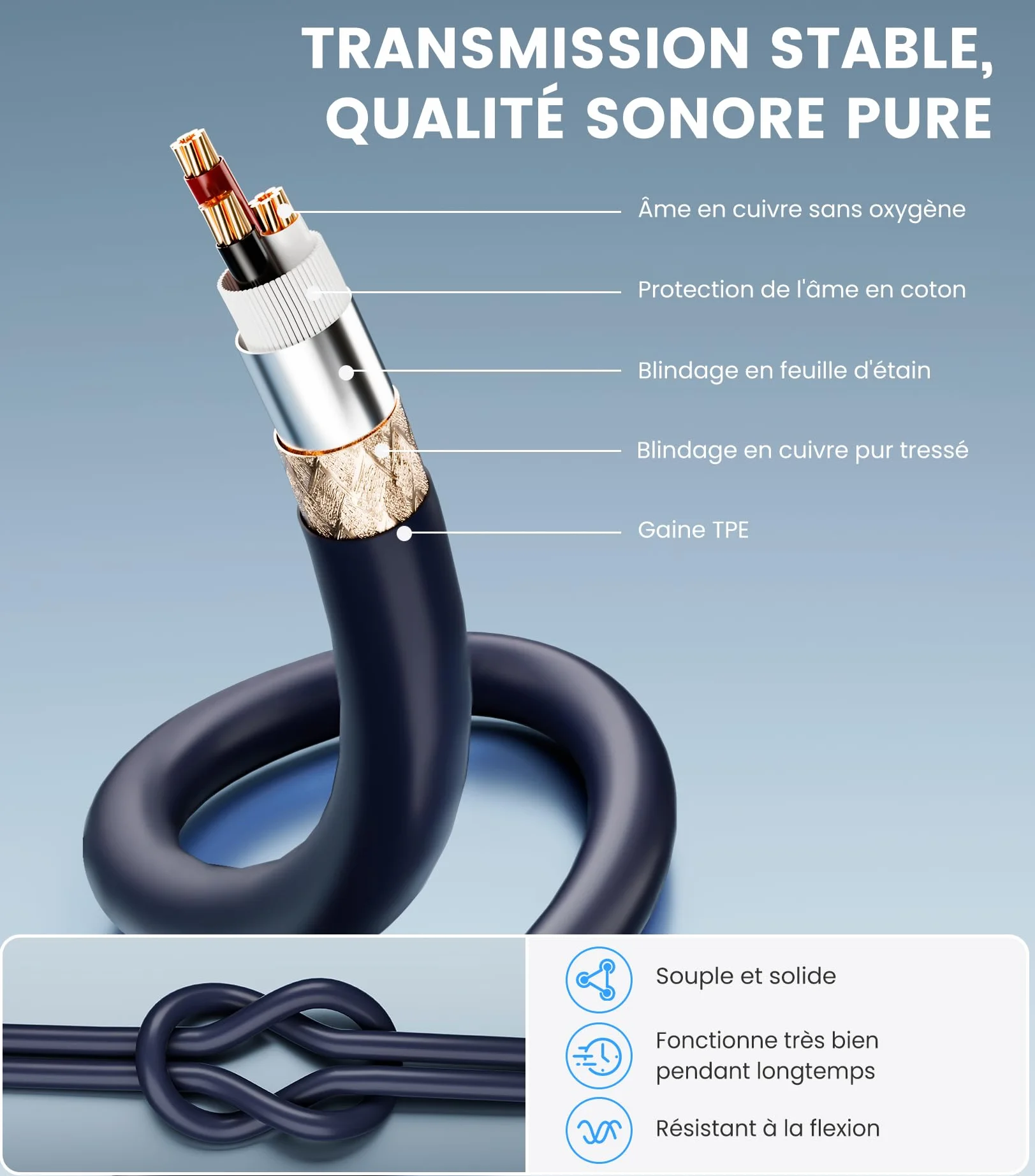 Tisino Câble double RCA vers XLR, 2 RCA vers 2 XLR mâles HiFi stéréo connexion microphone câble câble de chemin - 1 m