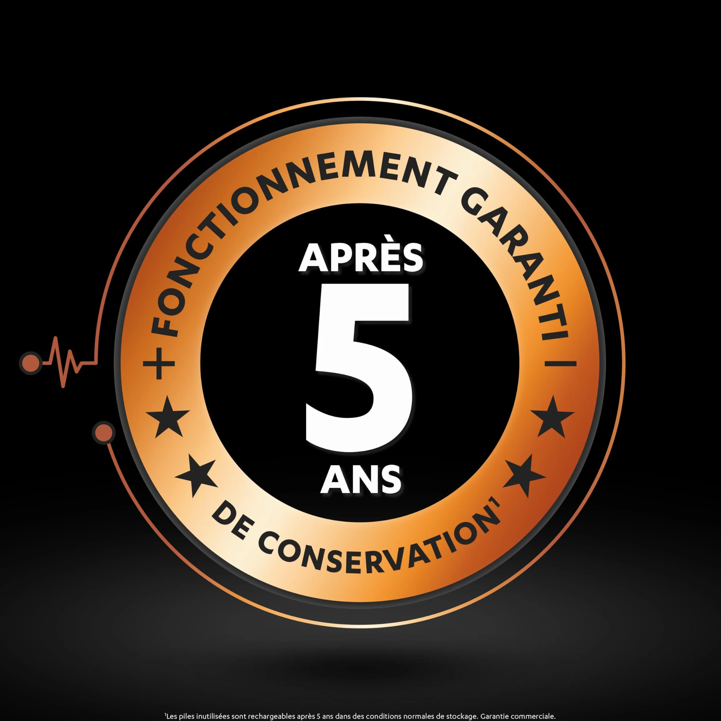 Duracell Piles AAA Rechargeables 750 mAh NiMH Lot de 4 1000 Recharges Pré-chargées