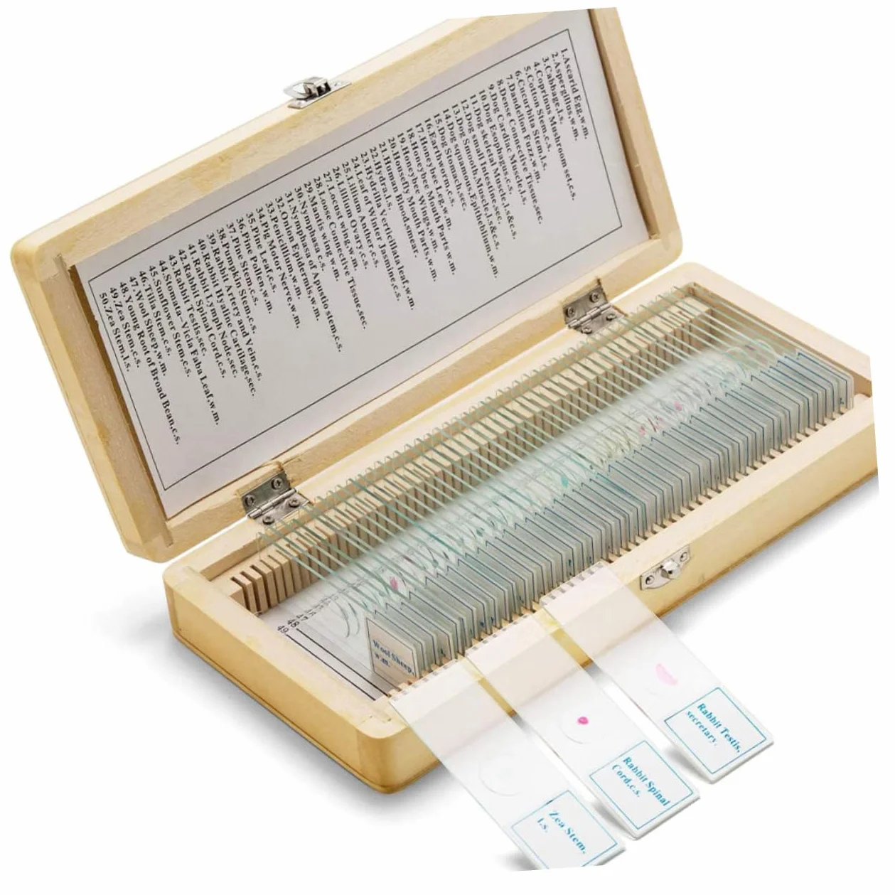 Amosfun Boîte Coulissante en Bois Compacte et Facile à Transporter Compartiments Numérotés pour 50 Lames de Microscope pour Collection de Spécimens