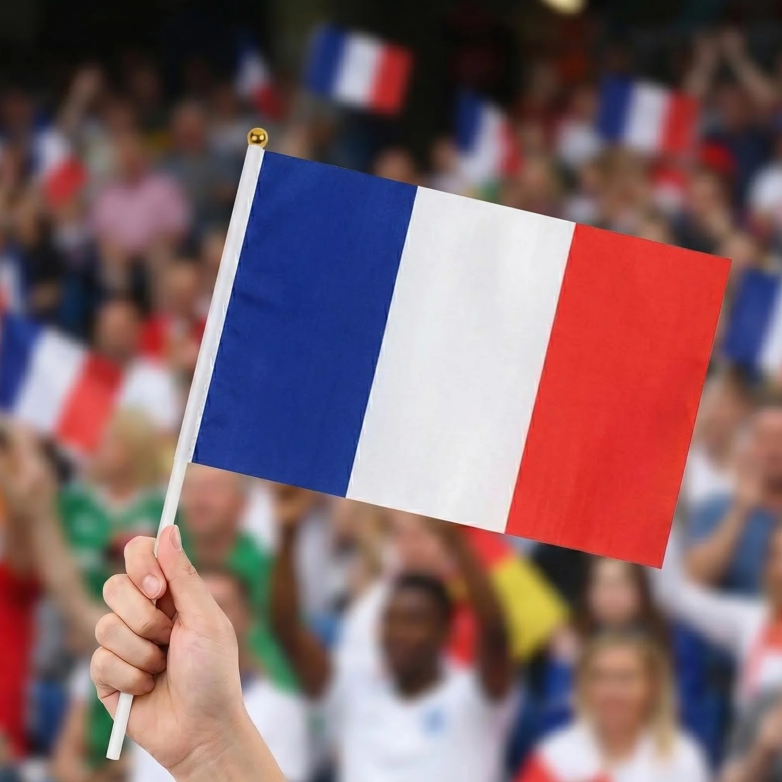 Petits Drapeaux à Main France Lot de 10, 14 x 21 cm, Drapeaux en Polyester avec Bâton pour Football Fan Zone
