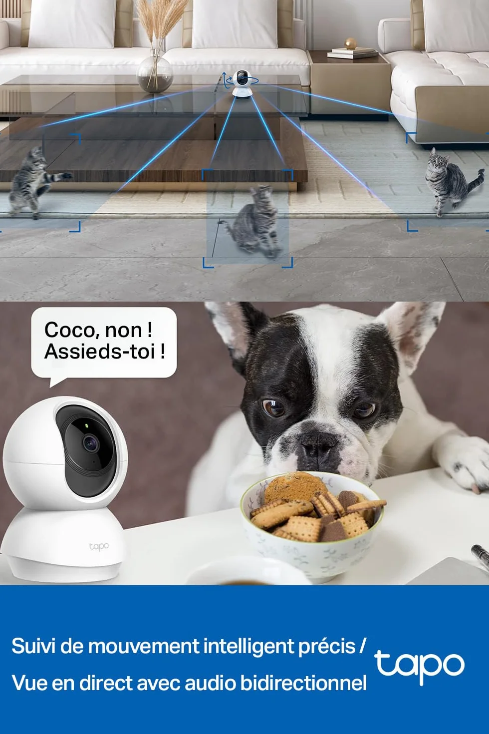 Tapo C210 Caméra WiFi Intérieure 2K 3MP, Rotation 360°, Détection de Personne, Vision Nocturne, Audio Bidirectionnel, Stockage CloudµSD 512 Go, Alexa